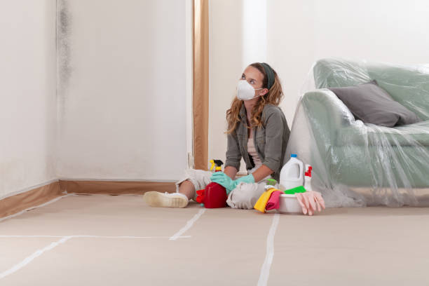 Reliable Bathroom Mold Removal contractor in Nederland, TX by Mold Remediation HQ
